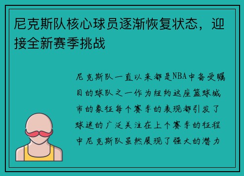 尼克斯队核心球员逐渐恢复状态，迎接全新赛季挑战